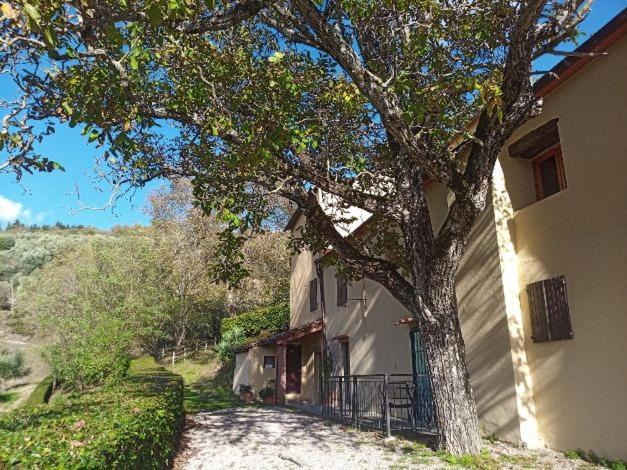 Agriturismo Il Giardino Pontassieve Buitenkant foto