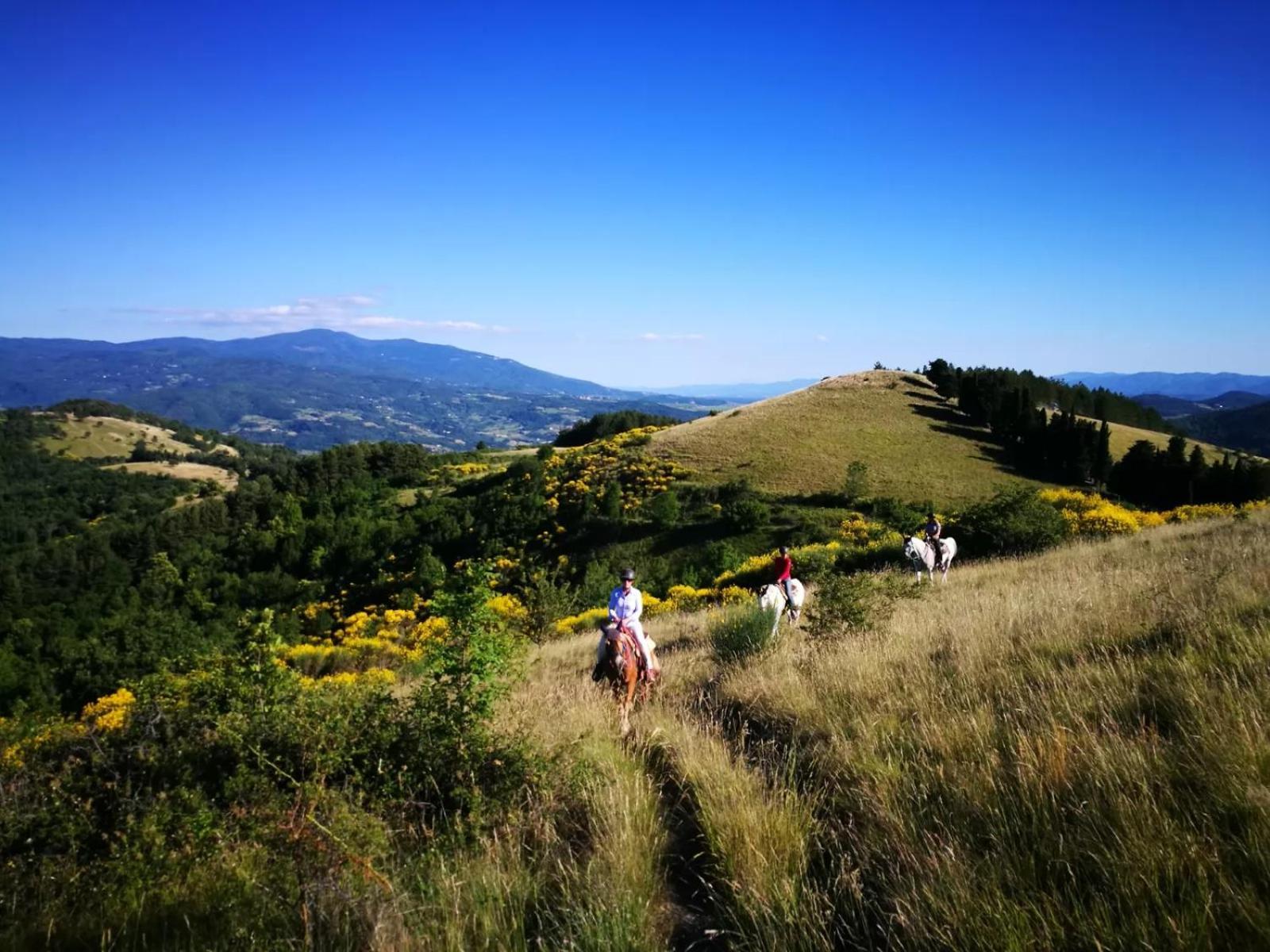 Agriturismo Il Giardino Pontassieve Buitenkant foto