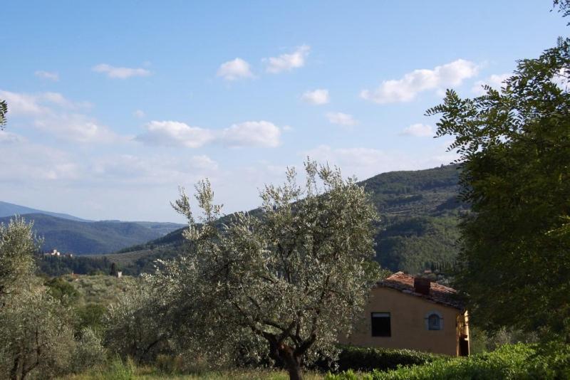 Agriturismo Il Giardino Pontassieve Buitenkant foto