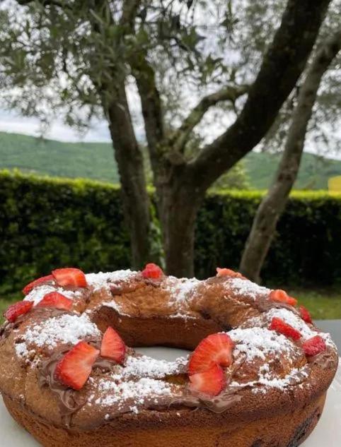 Agriturismo Il Giardino Pontassieve Buitenkant foto